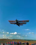 Миниатюра 4
