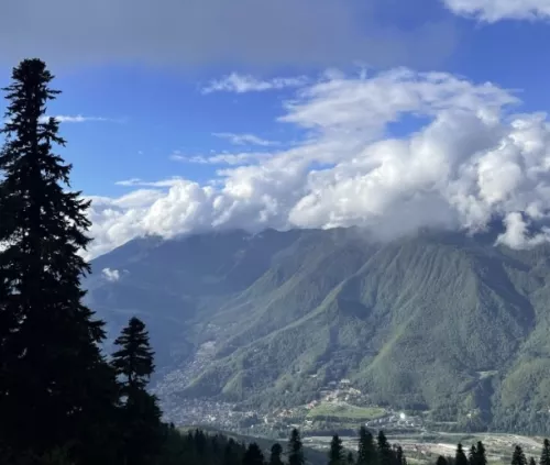 Организация экскурсий по городу Все экскурсии Сочи  в  Сочи