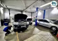 Миниатюра 9