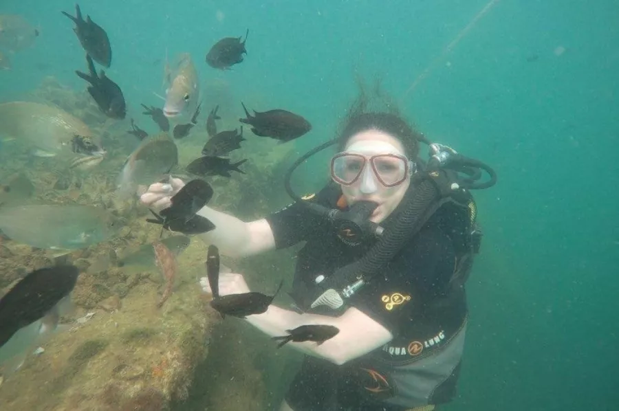Дайвинг-центр Enjoy-dive в Сочи: Дайвинг, Погружение, Чилим, Море,