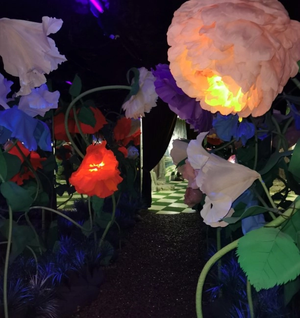 Интерактивный парк развлечений Magic park в Сочи: Парк,