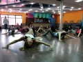 Миниатюра 1