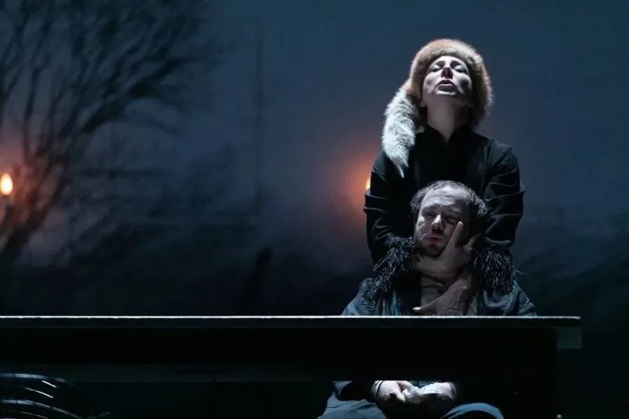 Драматический театр им. В.Ф. Комиссаржевской в Санкт-Петербурге: Литература, Шоу,