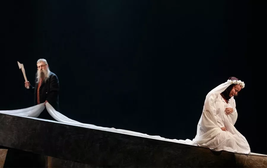 Драматический театр им. В.Ф. Комиссаржевской в Санкт-Петербурге: Литература, Шоу,