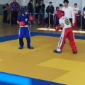 Миниатюра 8