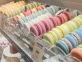 Миниатюра 3