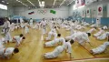 Миниатюра 10