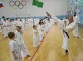 Миниатюра 11
