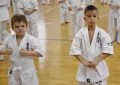 Миниатюра 12
