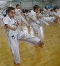 Миниатюра 13