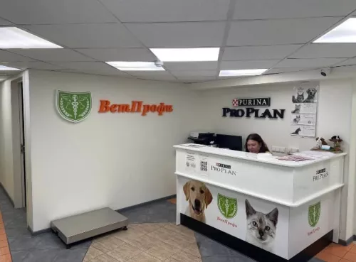 Ветеринарная клиника ВетПрофи  в  Минске