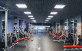 Миниатюра 10