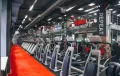Миниатюра 12