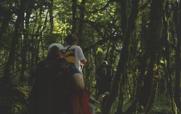 Спортивная секция "Hike Athletics".