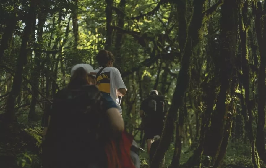 Спортивная секция Hike Athletics в Москве: Кроссфит, Персональный тренер, Воркаут, Мужской бодибилдинг,