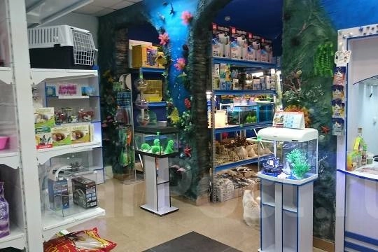 Зоомагазин в Ереване Гаф-Гаф в Ереване: питомцы, ассортимент, Следить за здоровьем, Любимцы,