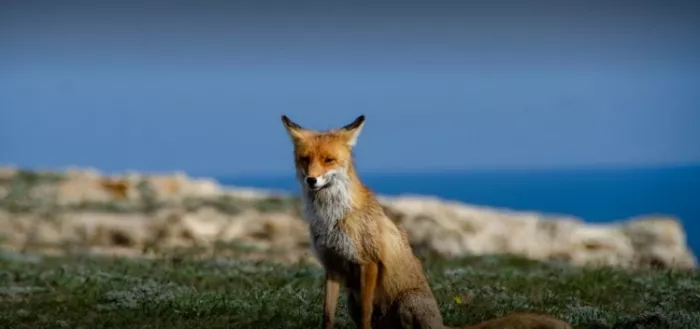 Тур "Adventure mytour"