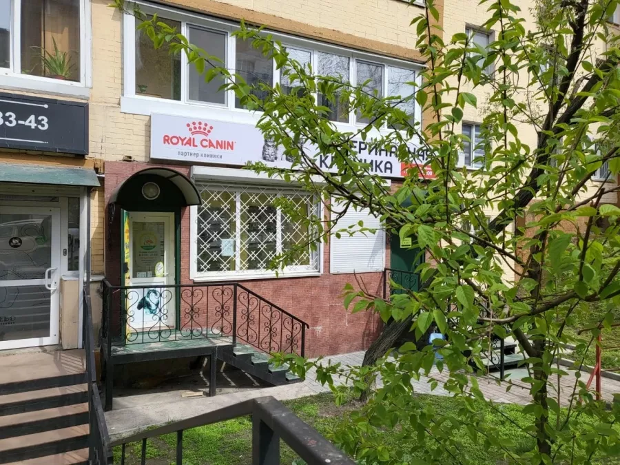 Ветеринарная клиника Vet Fayz в Владивостоке: Животные,