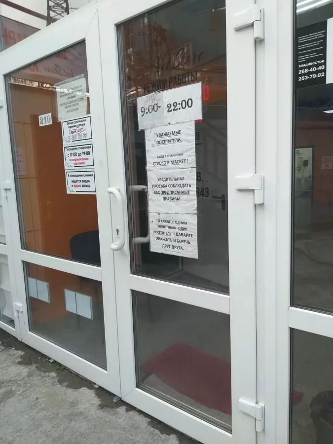 Ветеринарная клиника VetStore в Владивостоке: Ветеринарная клиника, Ветеринарная аптека, Ветклиника, Питомцы,