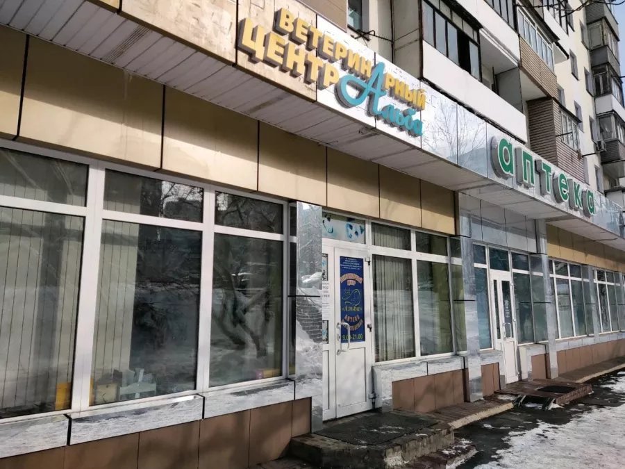 Ветеринарная клиника Альба в Владивостоке: Животные,