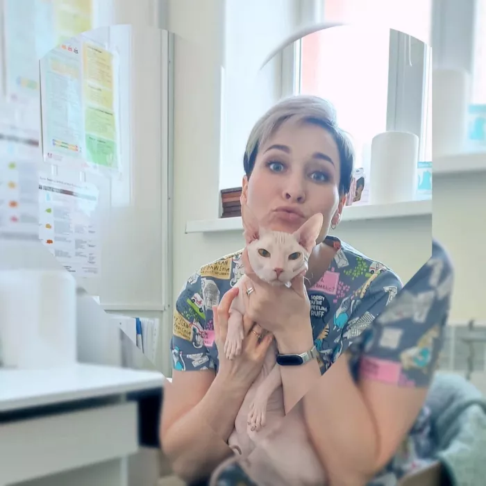 Ветеринарная клиника Белый слон  во  Владивостоке