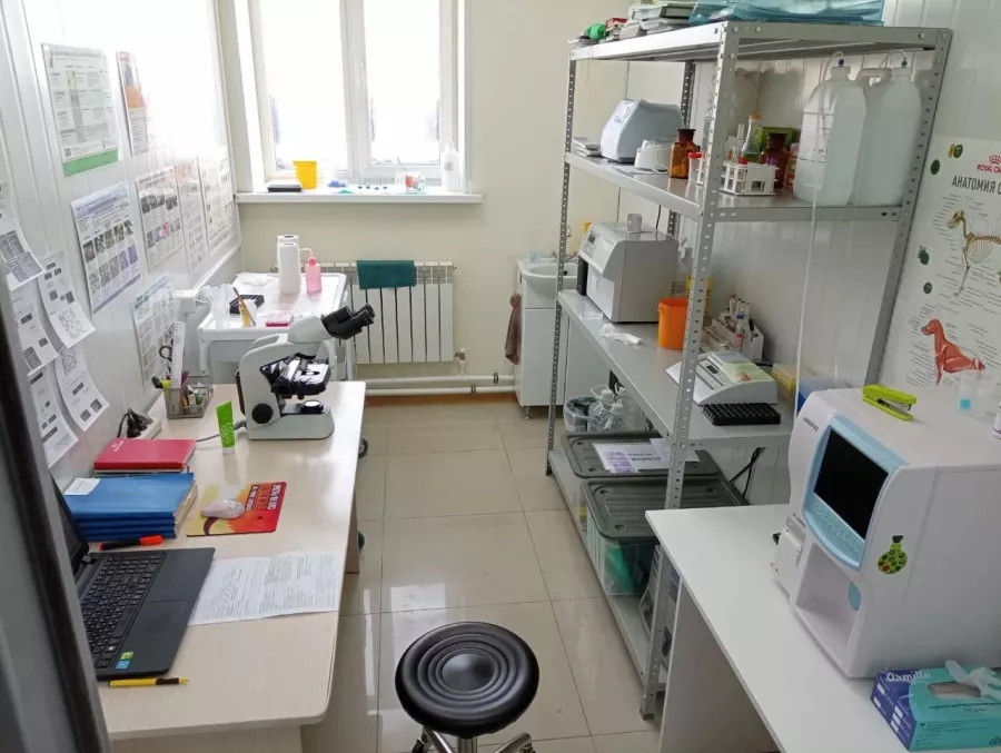 Ветеринарная клиника Белый слон в Владивостоке: Животные,