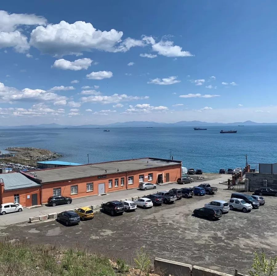 Ветеринарная клиника Белый слон в Владивостоке: Животные,