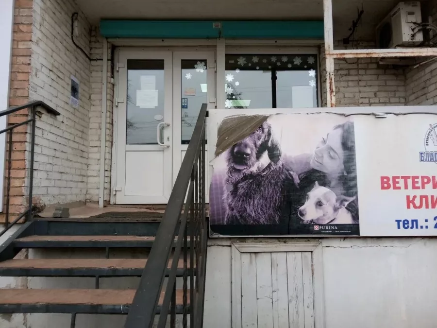 Ветеринарная клиника Благосервис на 100-летия Владивостока в Владивостоке: Животные,