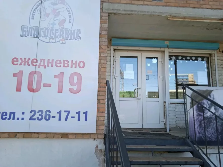 Ветеринарная клиника Благосервис на 100-летия Владивостока в Владивостоке: Животные,