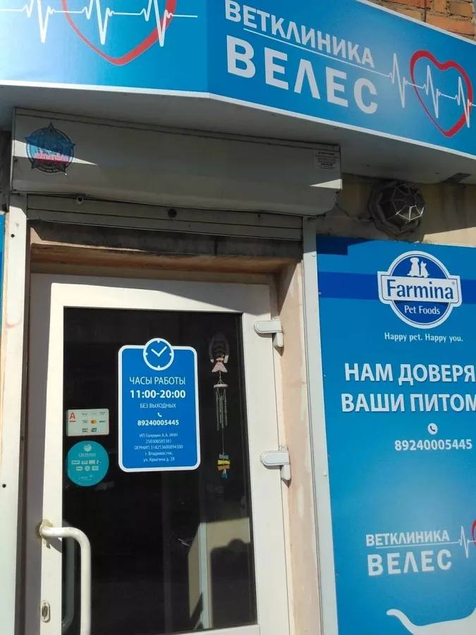 Ветеринарная клиника Велес в Владивостоке: Ветеринарная клиника, Ветклиника, Питомцы,