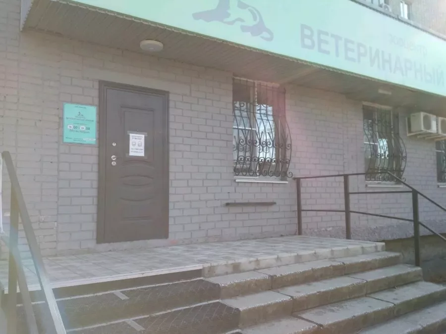 Ветеринарная клиника Ветеринарный доктор в Владивостоке: Ветеринарная клиника, Ветклиника, Питомцы,