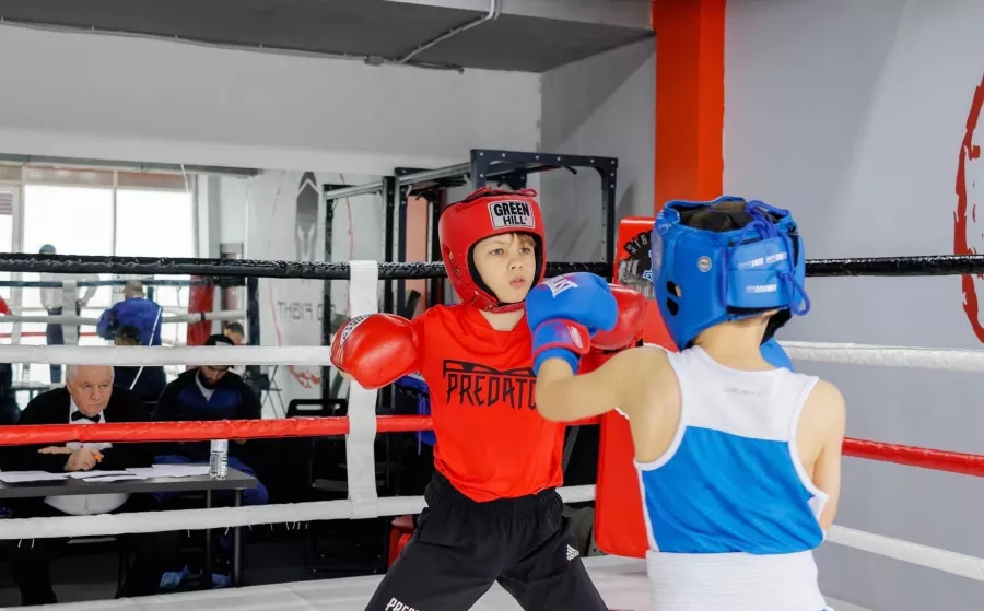 Академия единоборств GO FIGHT в Краснодаре: Развиваться, Бокс, Единоборства, Дисциплина, Развитие, Воспитание, Дети,