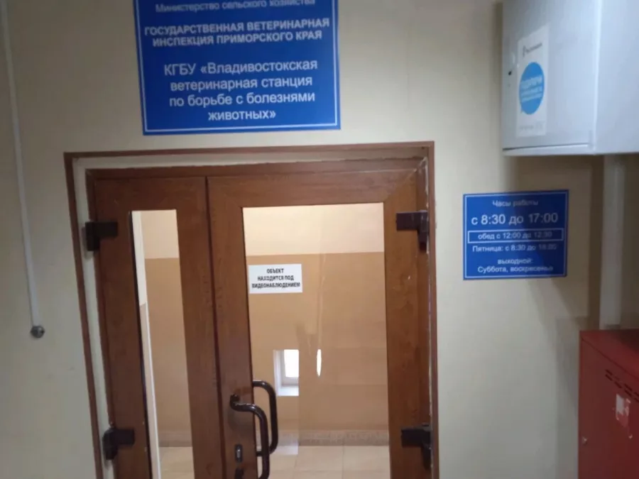 Владивостокская ветеринарная станция по борьбе с болезнями животных в Владивостоке: Ветеринарная клиника, Ветклиника, Питомцы,