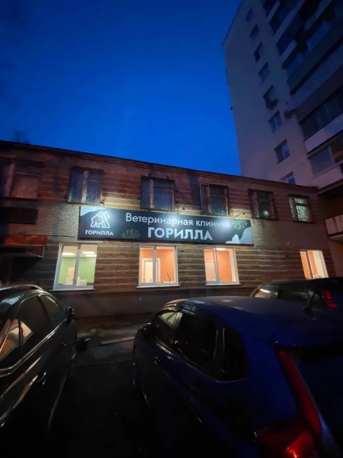 Ветеринарная клиника Горилла в Владивостоке: Ветеринарная клиника, Ветклиника, Питомцы, Ветеринарная лаборатория , Диагностический центр,