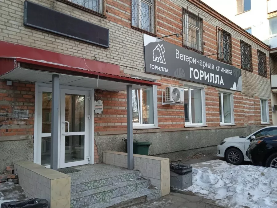 Ветеринарная клиника Горилла в Владивостоке: Ветеринарная клиника, Ветклиника, Питомцы, Ветеринарная лаборатория , Диагностический центр,