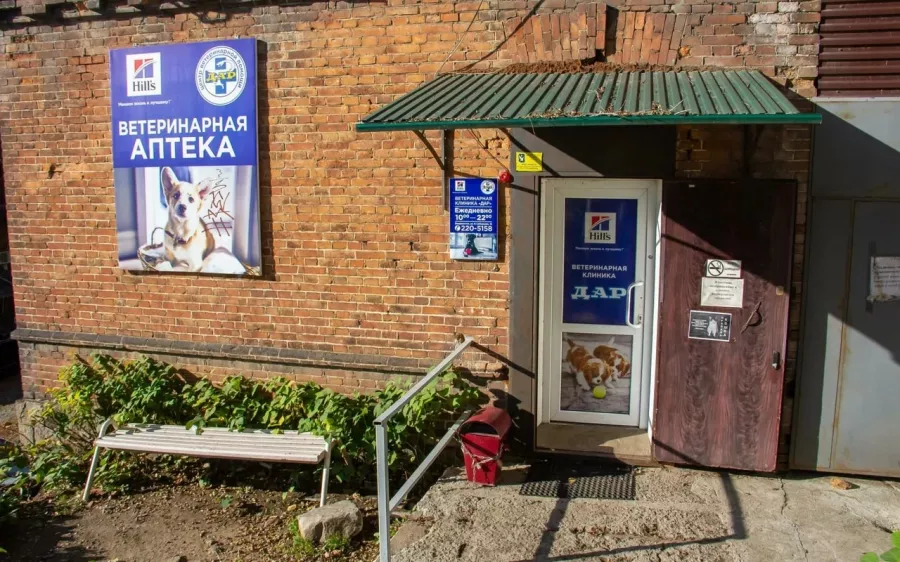 Ветеринарная клиника Дар в Владивостоке: Животные,