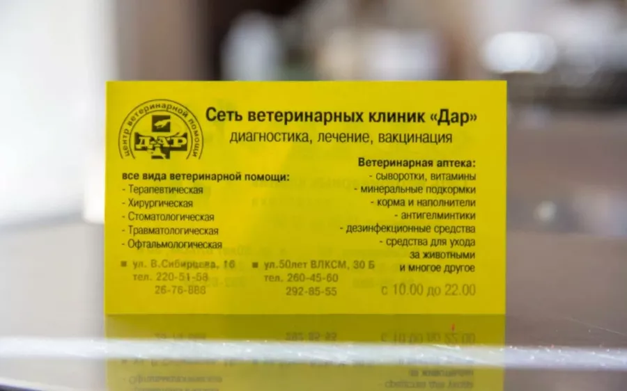 Ветеринарная клиника Дар в Владивостоке: Животные,