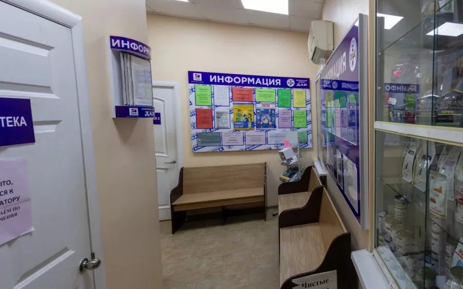 Ветеринарная клиника Дар в Владивостоке: Животные,