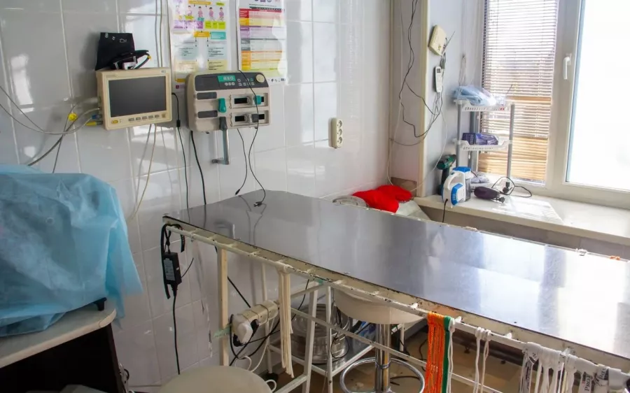 Ветеринарная клиника Дар в Владивостоке: Животные,