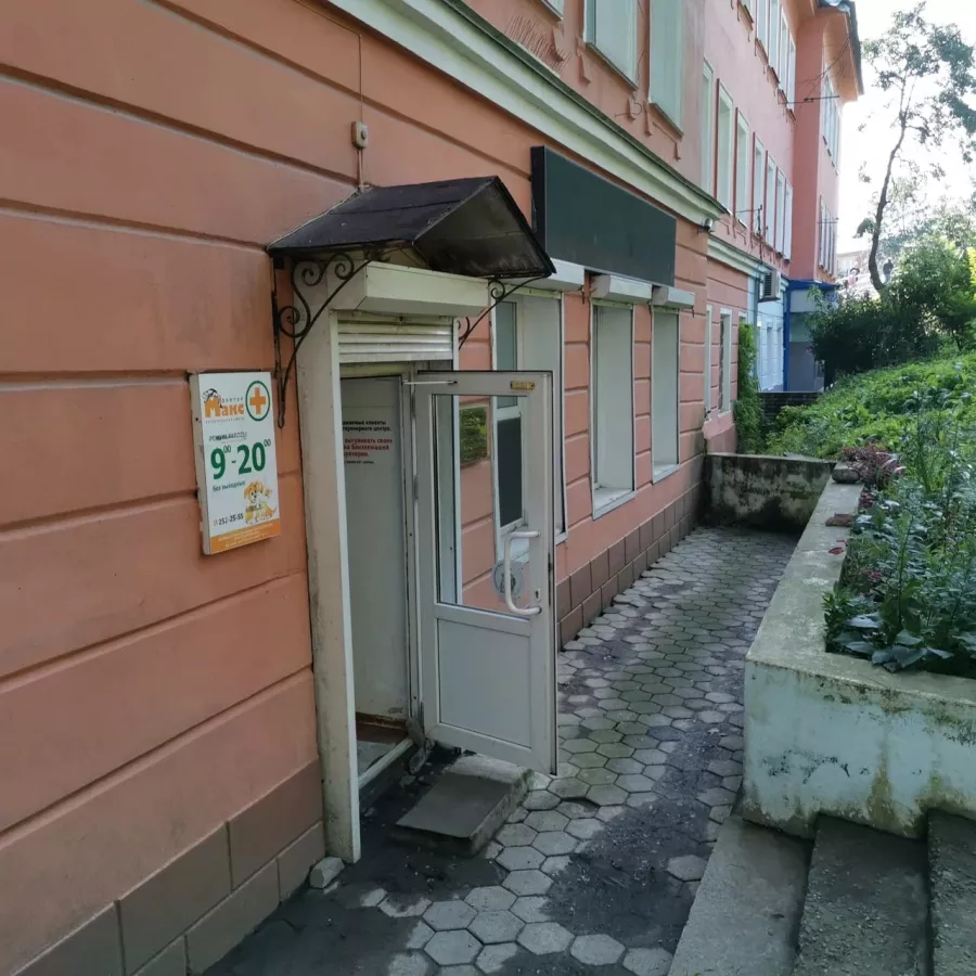 Ветеринарная клиника Доктор Макс в Владивостоке: Животные,