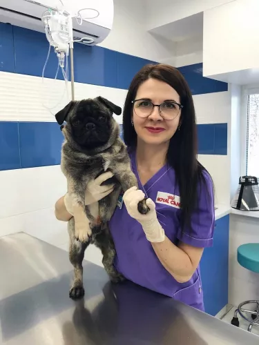 Ветеринарная клиника Друг  во  Владивостоке