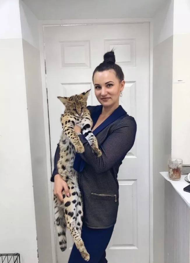 Ветеринарная клиника Друг в Владивостоке: Зоомагазин, Животные,