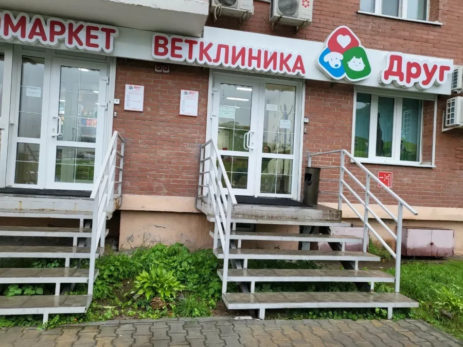 Ветеринарная клиника Друг на Анна Щетинина в Владивостоке: Ветеринарная клиника, Ветклиника, Питомцы, Ветеринарная аптека,