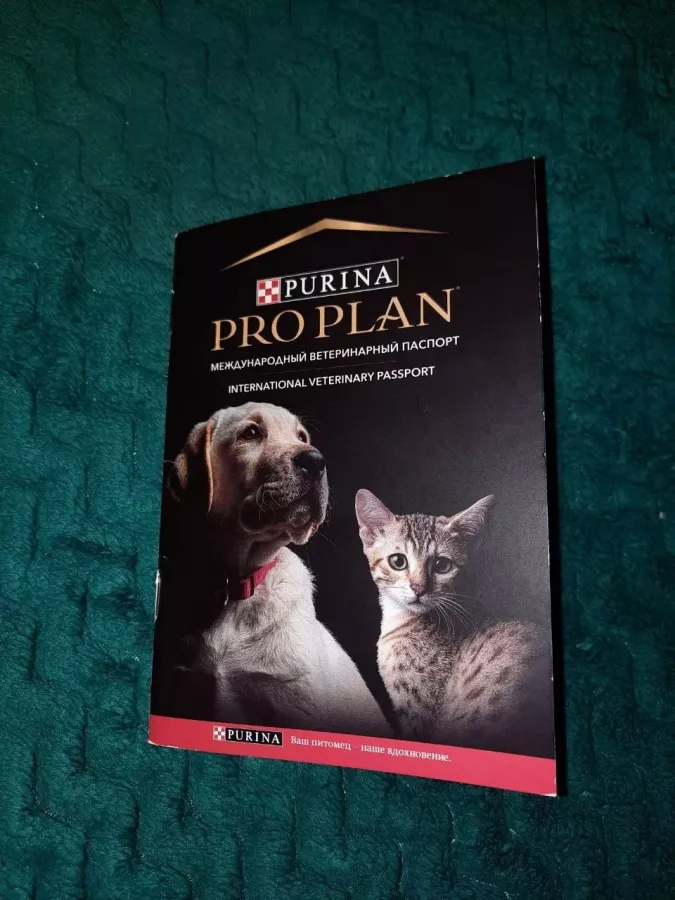 Ветеринарная клиника Друг на Красного Знамени в Владивостоке: Зоомагазин, Животные,