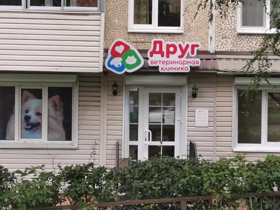 Ветеринарная клиника Друг на Красного Знамени в Владивостоке: Зоомагазин, Животные,