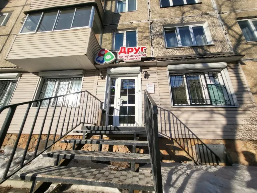 Ветеринарная клиника Друг на Красного Знамени в Владивостоке: Зоомагазин, Животные,