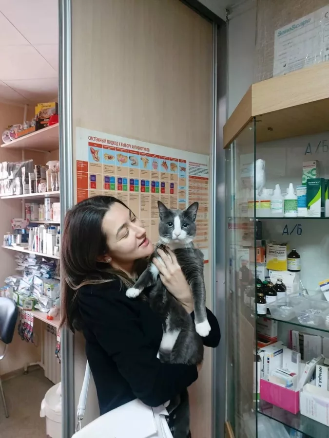 Ветеринарная клиника Здравушка в Владивостоке: Ветеринарная клиника, Ветклиника, Питомцы, Ветеринарная лаборатория, Ветеринарная аптека,