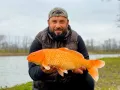 Миниатюра 7