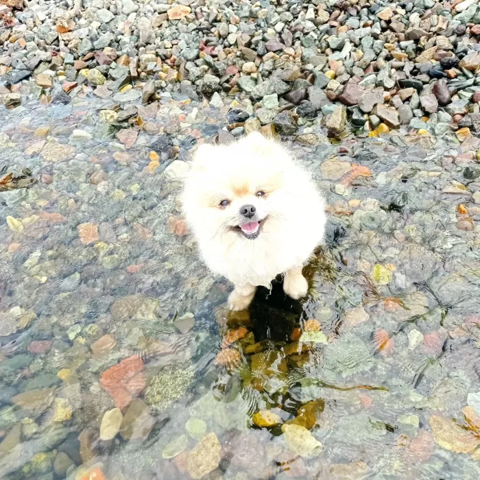 Ветеринарная клиника Ле'Муррр  во  Владивостоке