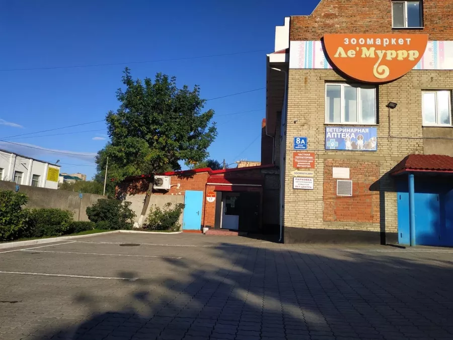 Ветеринарная клиника Ле'Муррр в Владивостоке: Зоомагазин, Животные,
